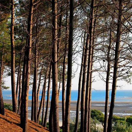 Holiday home Maison Arcachon, 5 Pieces, 8 Personnes - Fr-1-420-123 *